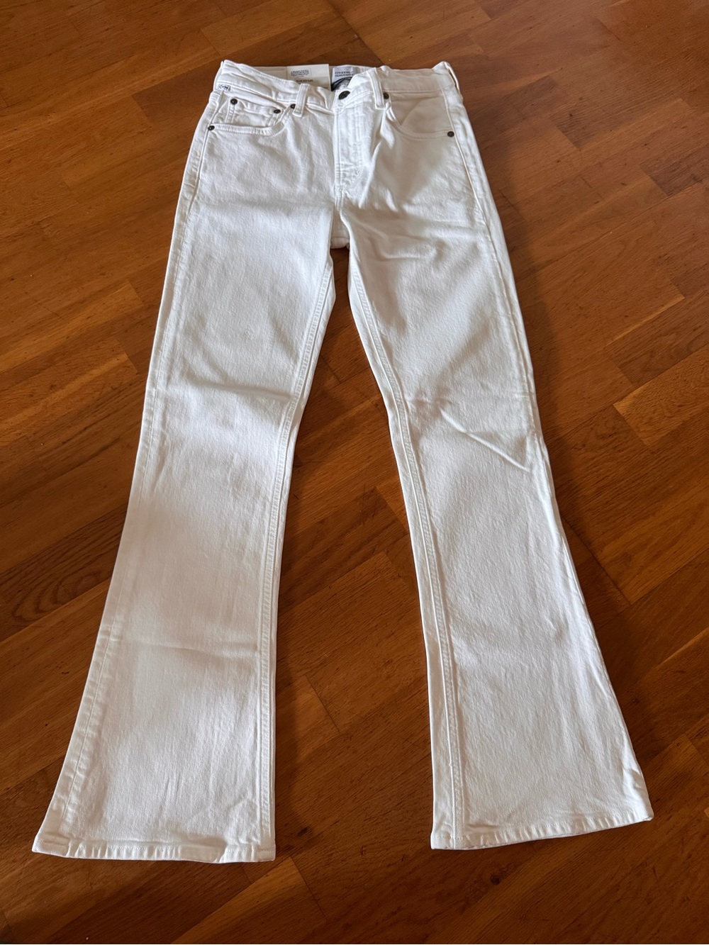 CITIZENS OF HUMANITY GOLDIE KICK FLARE PANT IN PASHMINA NWT SIZE 26